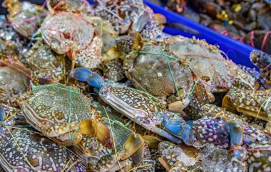 Tayland 'da Nakula balık pazarı