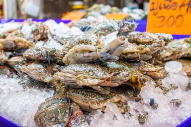 Pattaya yakınlarındaki Naklua 'da deniz ürünleri pazarı