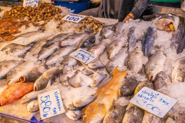 Pattaya yakınlarındaki Naklua 'da deniz ürünleri pazarı