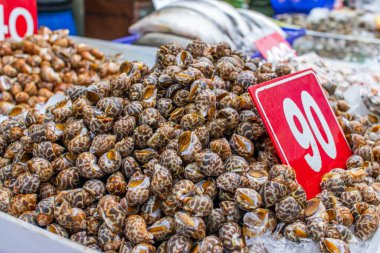 Pattaya yakınlarındaki Naklua 'da deniz ürünleri pazarı