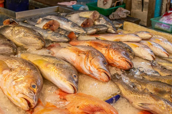 Pattaya Yakınlarındaki Naklua Deniz Ürünleri Pazarı — Stok fotoğraf