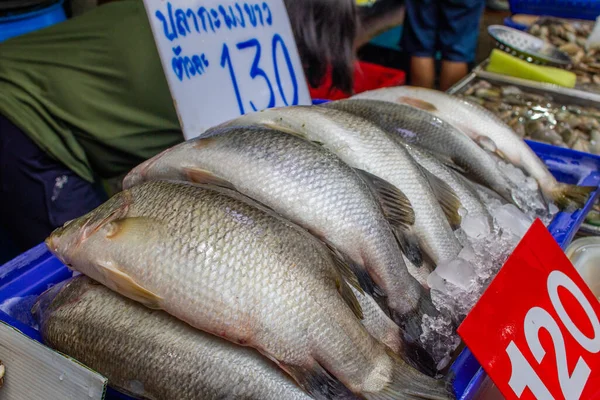 Pattaya Yakınlarındaki Naklua Deniz Ürünleri Pazarı — Stok fotoğraf