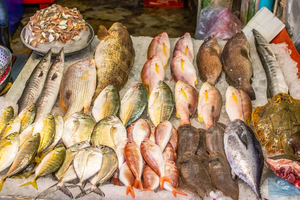 Pattaya Yakınlarındaki Naklua Deniz Ürünleri Pazarı — Stok fotoğraf