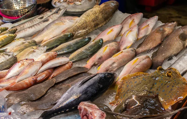 Mercado Frutos Mar Naklua Perto Pattaya Tailândia — Fotografia de Stock