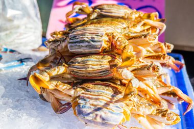 Tayland ve Güneydoğu Asya 'dan deniz ürünleri.