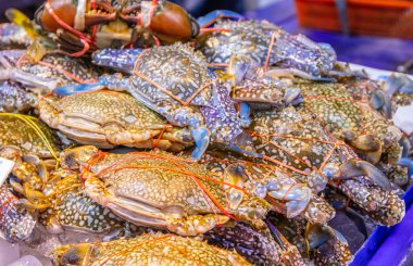 Tayland ve Güneydoğu Asya 'dan deniz ürünleri.