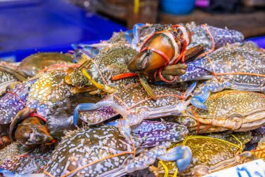 Tayland ve Güneydoğu Asya 'dan deniz ürünleri.
