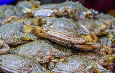 Tayland ve Güneydoğu Asya 'dan deniz ürünleri.