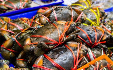 Tayland ve Güneydoğu Asya 'dan deniz ürünleri.