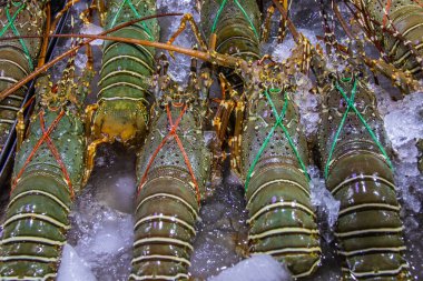 Tayland ve Güneydoğu Asya 'dan deniz ürünleri.