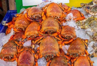 Tayland ve Güneydoğu Asya 'dan deniz ürünleri.