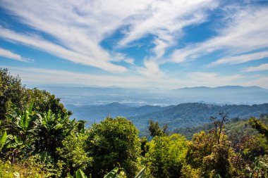 Chiang Rai Kuzey Tayland 'dan Doi Tung