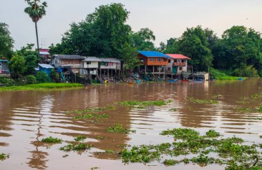 Ayutthaya Tayland ve Güneydoğu Asya, Chao Phraya Nehri 'ni ziyaret edin.