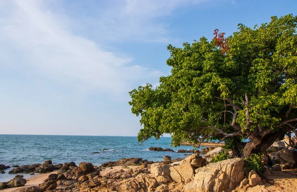 Die Küste Und Der Strand Golf Von Thailand Asien — Stockfoto
