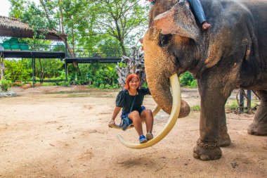 Tayland, Güneydoğu Asya 'da bir fil kampında dinlenme zamanı.