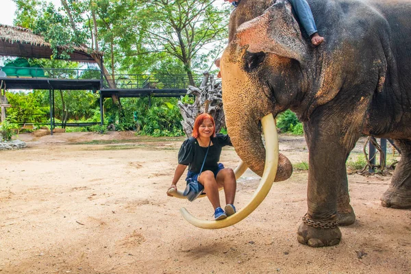 Erholsame Zeit Einem Elefantencamp Thailand Südostasien — Stockfoto