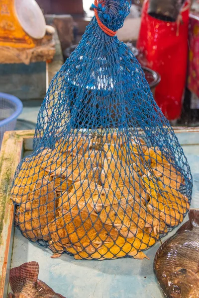 Frösche Zum Verkauf Auf Einem Street Food Markt — Stockfoto