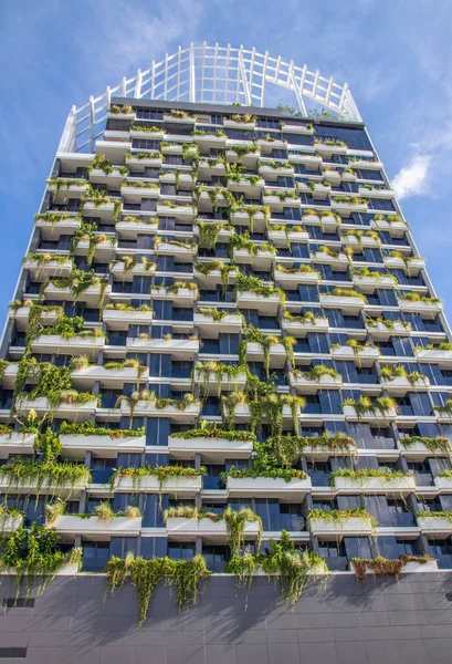 Вкусом Современный Зеленый Фасад Многоэтажного Здания — стоковое фото
