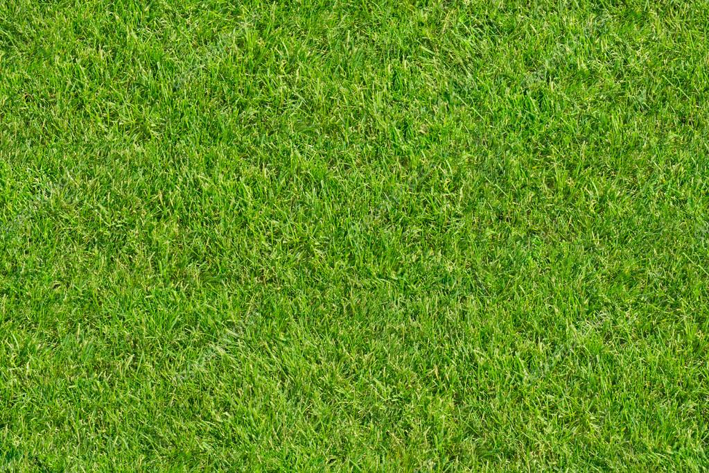 wood flooring quad cities  | 420 x 272