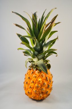 Ananas sarı meyve