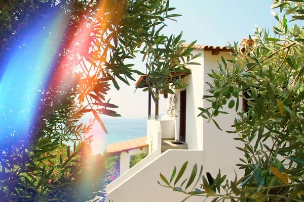 Idyllic Greek house by the sea , between olive trees. Light leaks film camera effect — Φωτογραφία Αρχείου