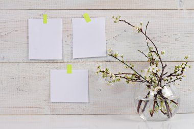 Mood board on the white wall and cherry flowers. Scandinavian interior design. Copy space image