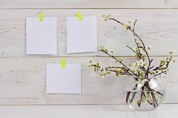 Mood board on the white wall and cherry flowers. Scandinavian interior design. Copy space image — Zdjęcie stockowe