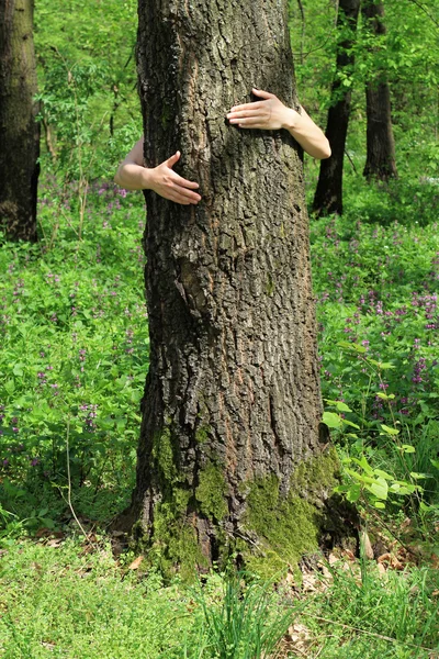 Amate il concetto di natura. Donna che abbraccia un albero — Foto Stock