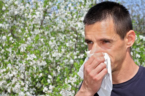 Alergia al polen, primavera. Hombre estornudando en un pañuelo — Foto de Stock