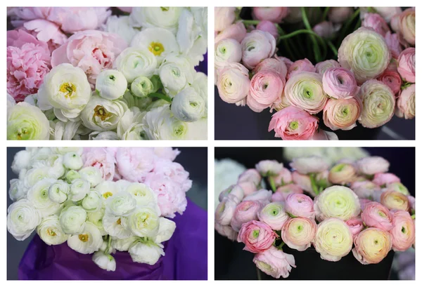 Set di collage di bouquet ranuncolo — Foto Stock