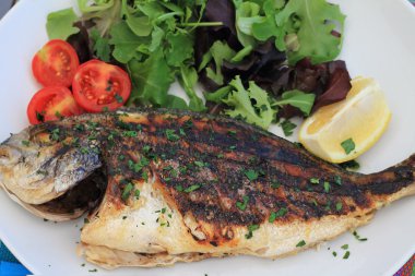 Salata ile ızgara Dorado balığı. Sağlıklı beslenme konsepti