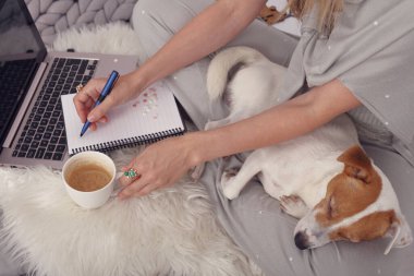 DIY Zanaat Projesi ve yeni yıl, Noel ya da doğum günleri için. Dizüstü bilgisayarda nasıl rehber olunacağını izleyen rahat giysili kadın