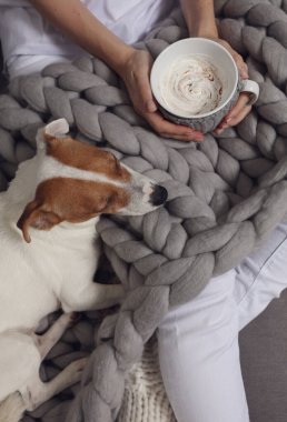 Sıcak, yumuşak merino yün battaniyeyle kaplı rahat kadın evde dinleniyor. Rahat yaşam tarzı.