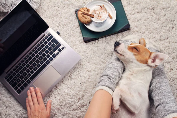 Gezellige Stemming Vrouw Die Online Werkt Vanuit Huis Met Behulp — Stockfoto