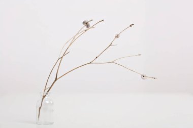 Minimalist bir geçmişi var. Yumuşak yumuşak renkler. sakin uyum sükunet konsepti