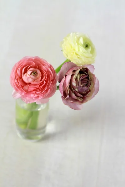 Ramo de YRanunculus en un jarrón — Foto de Stock