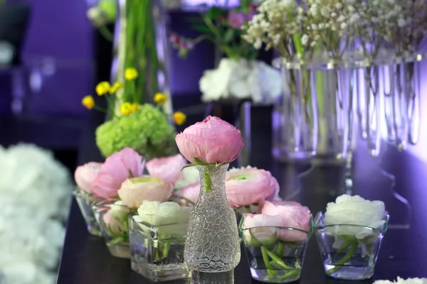 Ranunculus  in vases — Stock Photo, Image