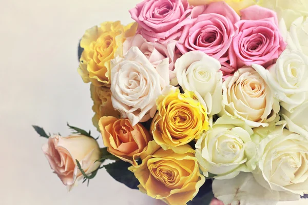 Аромат цветных роз — стоковое фото
