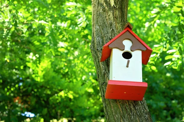 Χαριτωμένο μικρό birdhouse σε ένα δέντρο. Σπίτι γλυκιά σπίτι έννοια. — Φωτογραφία Αρχείου