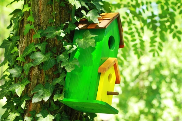 Χαριτωμένο μικρό birdhouse σε ένα δέντρο. Σπίτι γλυκιά σπίτι έννοια. — Φωτογραφία Αρχείου