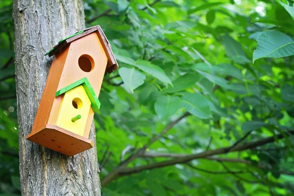 Χαριτωμένο μικρό birdhouse σε ένα δέντρο. Σπίτι γλυκιά σπίτι έννοια. — Φωτογραφία Αρχείου