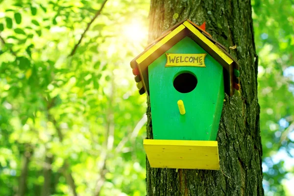 Χαριτωμένο μικρό birdhouse σε ένα δέντρο. Σπίτι γλυκιά σπίτι έννοια. — Φωτογραφία Αρχείου