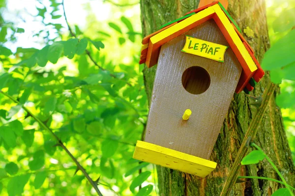 Χαριτωμένο μικρό birdhouse σε ένα δέντρο. Σπίτι γλυκιά σπίτι έννοια. — Φωτογραφία Αρχείου