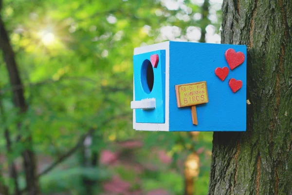 Cute little birdhouse on a tree. Home sweet home concept. — Stock Photo, Image