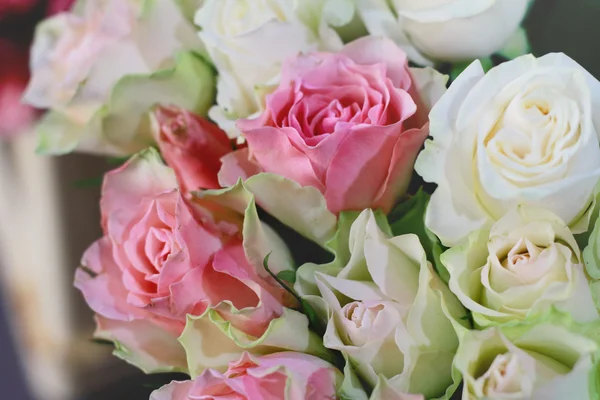 Bílé a růžové růže. Opar a rozostřený obraz — Stock fotografie