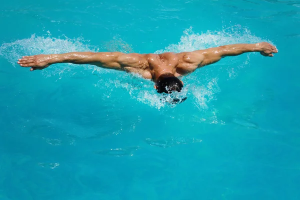 Strong athletic man swimming butterfly style in the pool