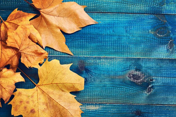 Hojas amarillas de otoño sobre fondo rústico azul. Fondos de pantalla de temporada — Foto de Stock