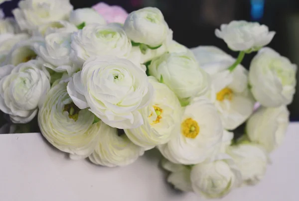 Buchet de ranunculus alb — Fotografie, imagine de stoc