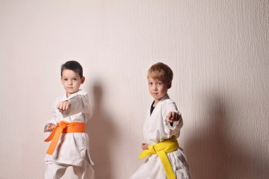 Çocuklara karate eğitimi sırasında. Dövüş sanatları. Spor, aktif yaşam tarzı kavramı