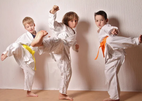 Çocuklara karate eğitimi sırasında. Dövüş sanatları. Spor, aktif yaşam tarzı kavramı